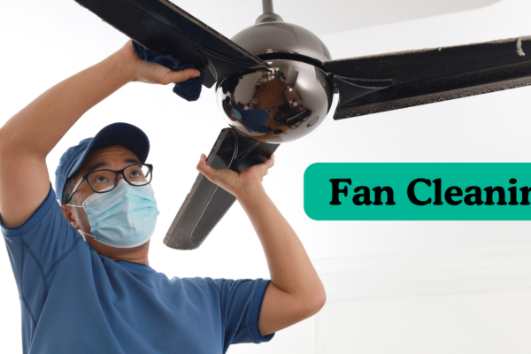 ceiling fan cleaning brush