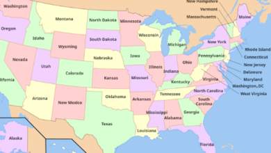 Labeled:Uj3t4zt70_Q= Us States Map