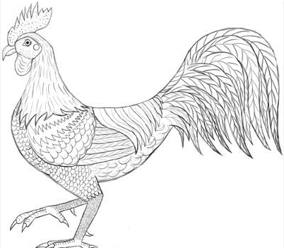 Drawing:Kqu30c7x4xo= Rooster