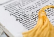 decoding the ycnbfcs term