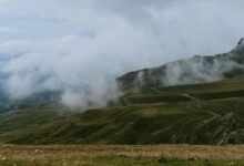 valley steam palworld weather