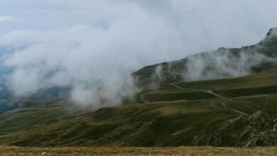 valley steam palworld weather