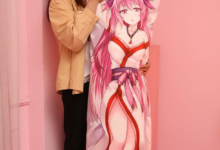 10 Surprising Benefits of Owning a Dakimakura Pillow